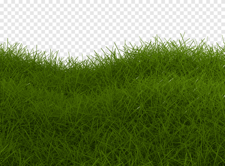 Green Meadow газон