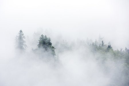 Прозрачный туман