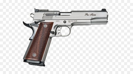 Smith Wesson m1911