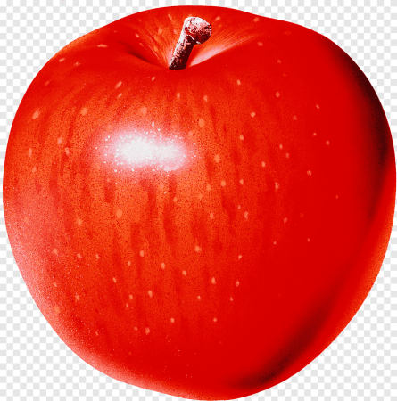 Яблоко вектор (47 фото)