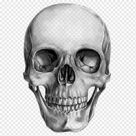 Синий череп