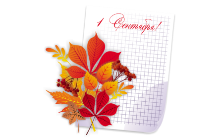 С днем знаний Сова