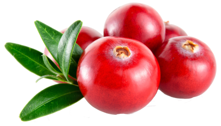 Cowberry брусника