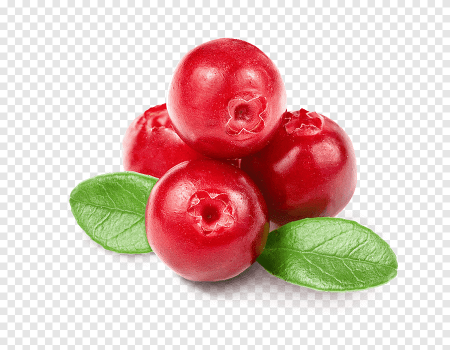 Гроздь клюквы