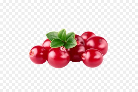 Клюква на прозрачном фоне