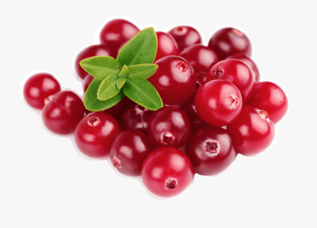 Blueberry cowberry Cranberry