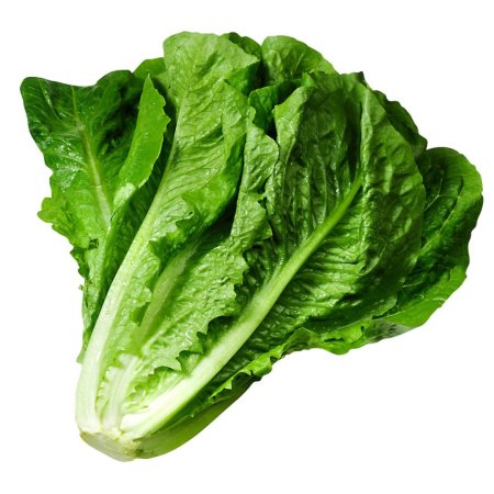 Салат листовой