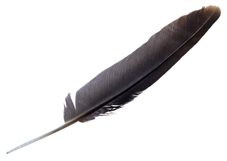 Writing Feather Flashcard