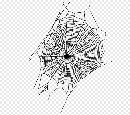 Spider man паутина