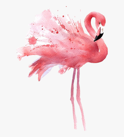 Flamingo арт.529113