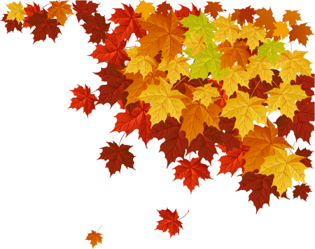 Листья на прозрачном фоне