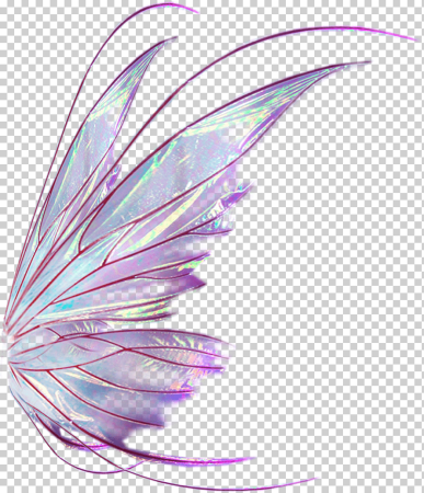 Прозрачные Крылья