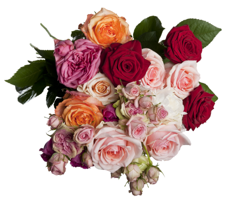 Congratulation цветы
