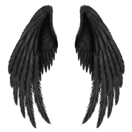 Цепочка Крылья демона