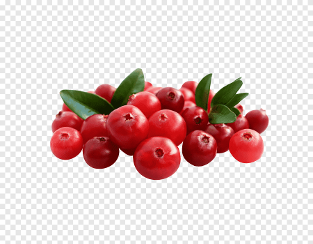 Клюква и брусника