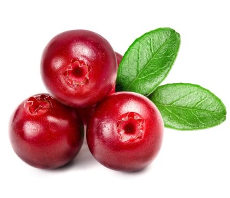 Cowberry брусника