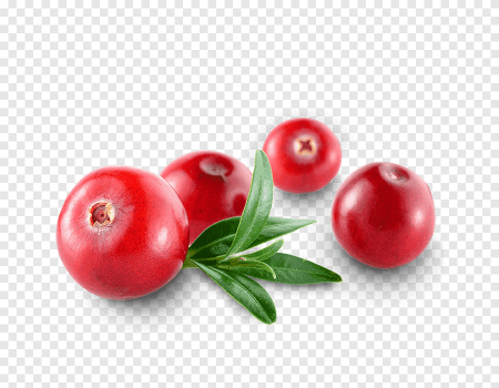 Клюква на белом фоне