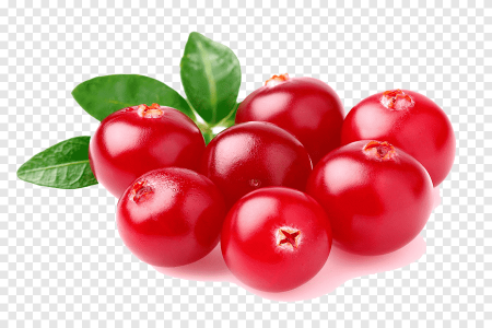 Клюква Ягодка