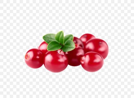 Клюква на прозрачном фоне