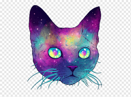 Кошка на прозрачном фоне