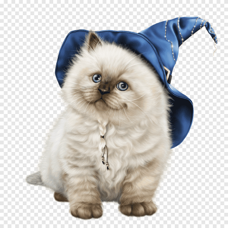 Кошка на прозрачном фоне