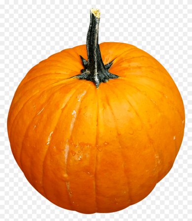 Тыква Cucurbita maxima