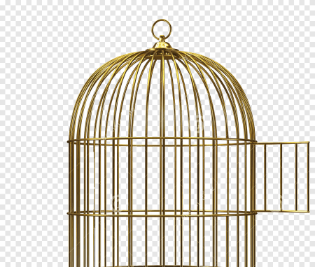 Птичья клетка