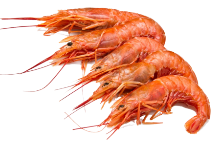 Лангустины l2