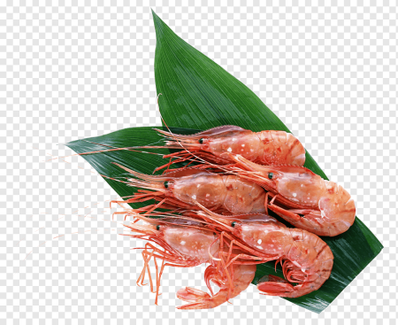 Креветки мультяшные