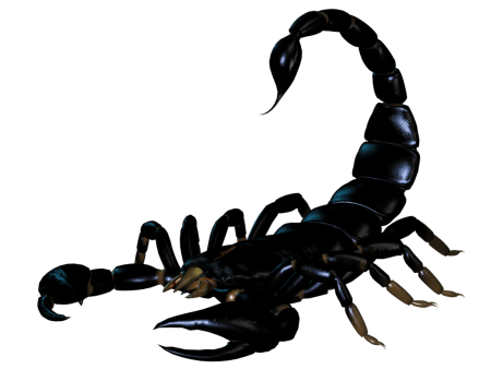 Тагм Скорпион