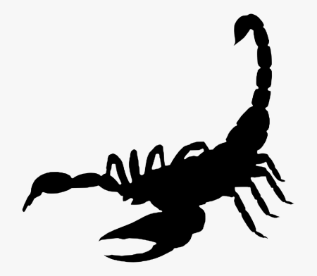 Прозрачный Скорпион