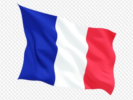 Флаг франции вектор (50 фото)