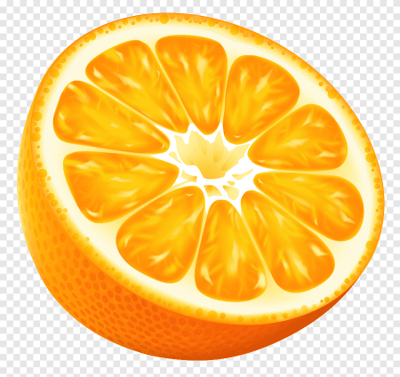 Апельсин вектор (50 фото)