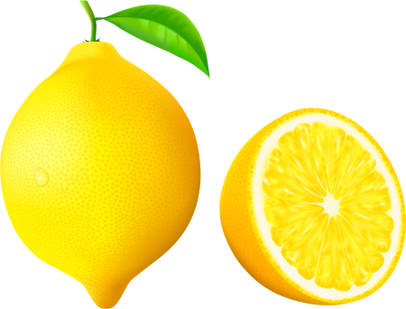 Лимон вектор (48 фото)