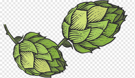 Лист хмеля Citra