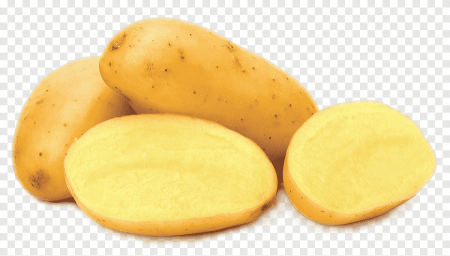 Картофель 'Russet Burbank'