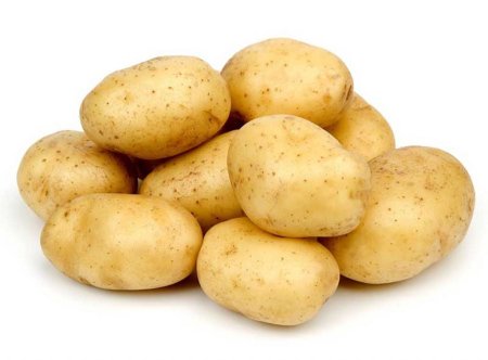 Картофель рассет