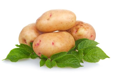 Сорт картошки Юкон Голд
