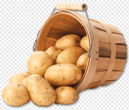 Картофель 'Russet Burbank'
