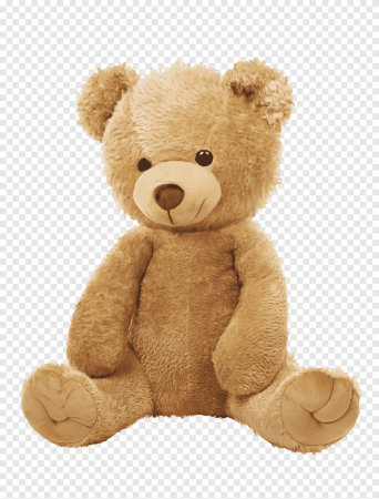 Make a Teddy Bear