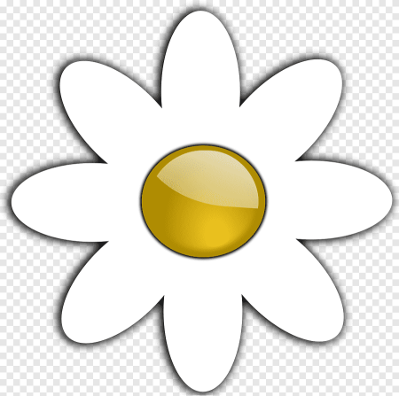 Camomile Ромашка