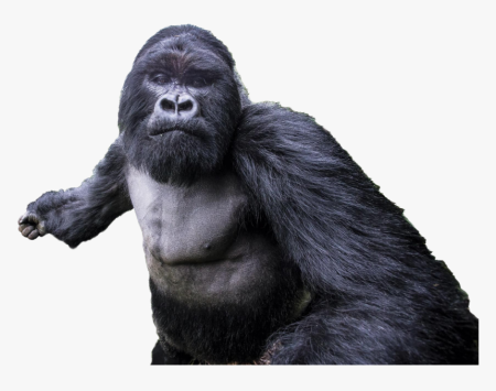 Gorilla Кинг Конг