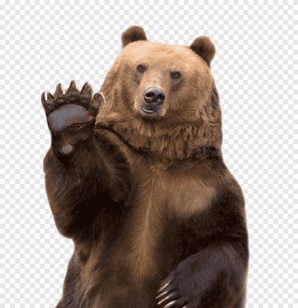 Медведь Гризли