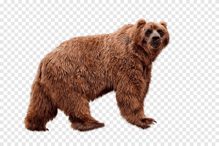 Медведь для детского сада