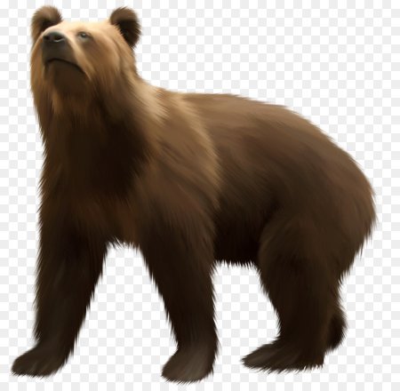 Медведь Гризли для детей