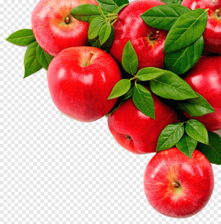 Яблоко с веточкой
