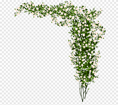 Вьющаяся зелень