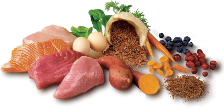 Продукты на белом фоне