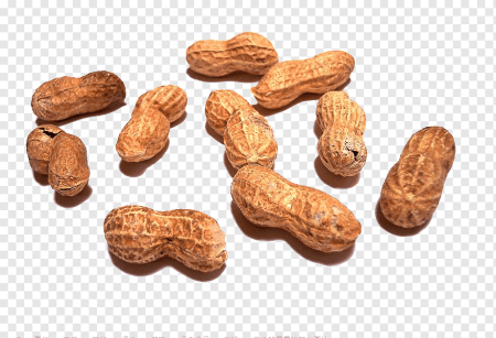 Арахис нарисованный