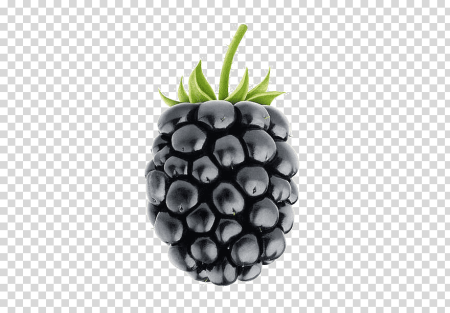 Ежевика Рубус fruticosus